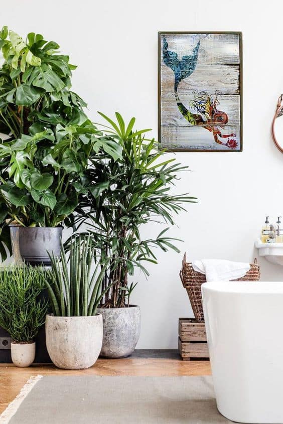 Rośliny do stylu skandynawskiego